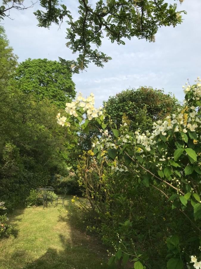 L'Atelier Du Paysagiste - Maison D'Artiste Giverny Esterno foto